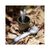 Ложка-вилка туристическая NexTool Outdoor Spoon Fork (NE0124), изображение 10 Ложка-вилка туристическая NexTool Outdoor Spoon Fork (NE0124), изображение 10