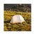 Палатка Naturehike надлегкий одномісний NH21ZP003 сіро-жовтий (6927595775424), изображение 5 Палатка Naturehike надлегкий одномісний NH21ZP003 сіро-жовтий (6927595775424), изображение 5