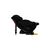 Автокресло Carrello Quantum CRL-11803/3 space black (CRL-11803/3 space black), изображение 2 Автокресло Carrello Quantum CRL-11803/3 space black (CRL-11803/3 space black), изображение 2