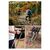 Треккинговые палки Naturehike ST06 NH17D006-D 3-секційна чорна 1 шт (6927595748596), изображение 9 Треккинговые палки Naturehike ST06 NH17D006-D 3-секційна чорна 1 шт (6927595748596), изображение 9