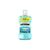 Ополаскиватель для полости рта Listerine Свежая мята Мягкий вкус 600 мл (3574661566597) Ополаскиватель для полости рта Listerine Свежая мята Мягкий вкус 600 мл (3574661566597)