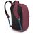 Рюкзак туристический Osprey Arcane XL Day allium red/brindle brown O/S (009.001.0187), изображение 4 Рюкзак туристический Osprey Arcane XL Day allium red/brindle brown O/S (009.001.0187), изображение 4