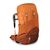 Рюкзак туристический Osprey Ace 38 orange sunset O/S (009.2133) Рюкзак туристический Osprey Ace 38 orange sunset O/S (009.2133)