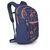 Рюкзак туристический Osprey Daylite Plus 20 wild blossom print/alkaline O/S (009.3628) Рюкзак туристический Osprey Daylite Plus 20 wild blossom print/alkaline O/S (009.3628)
