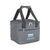 Термосумка Noveen LBB1 7 л Grey (RL076222) Термосумка Noveen LBB1 7 л Grey (RL076222)