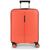 Чемодан Gabol Brooklyn (S) Coral (123922-036) (930674) Чемодан Gabol Brooklyn (S) Coral (123922-036) (930674)
