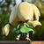 Фигурка Funko Pop серии Наруто - Леди Цунаде (46629), изображение 5 Фигурка Funko Pop серии Наруто - Леди Цунаде (46629), изображение 5