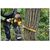 Цепная пила DeWALT 54 В, шина 45 см, цепь OREGON 3/8 (DCMCS574X1), изображение 7 Цепная пила DeWALT 54 В, шина 45 см, цепь OREGON 3/8 (DCMCS574X1), изображение 7