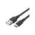 Дата кабель USB 2.0 AM to Type-C 0.5m 3.0A (18W) PVC Vention (CTHBD) Дата кабель USB 2.0 AM to Type-C 0.5m 3.0A (18W) PVC Vention (CTHBD)