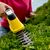 Кусторез Karcher GSH 2 Plus (1.445-310.0), изображение 3 Кусторез Karcher GSH 2 Plus (1.445-310.0), изображение 3