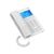 IP телефон Grandstream GHP630W, изображение 2 IP телефон Grandstream GHP630W, изображение 2