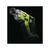 Перфоратор Ryobi ONE+ R18SDS-0 (без АКБ и ЗУ) (5133002305), изображение 5 Перфоратор Ryobi ONE+ R18SDS-0 (без АКБ и ЗУ) (5133002305), изображение 5