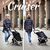 Сумка-тележка ShoppingCruiser 3 Wheels Green (650071) (930792), изображение 8 Сумка-тележка ShoppingCruiser 3 Wheels Green (650071) (930792), изображение 8