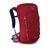 Рюкзак туристический Osprey Jet 18 cosmic red O/S (009.2136) Рюкзак туристический Osprey Jet 18 cosmic red O/S (009.2136)