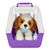 Интерактивная игрушка Moose ittle Live Pets Ласковый щенок (26548) Интерактивная игрушка Moose ittle Live Pets Ласковый щенок (26548)