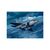 Сборная модель Revell Самолет Lockheed Martin F-22A Raptor уровень 4 масштаб 1:72 (RVL-63858), изображение 9 Сборная модель Revell Самолет Lockheed Martin F-22A Raptor уровень 4 масштаб 1:72 (RVL-63858), изображение 9