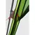 Тент Tramp Lite Mosquito Green (TLT-033.04), изображение 12 Тент Tramp Lite Mosquito Green (TLT-033.04), изображение 12