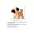 Интерактивная игрушка Pugs at Play Мопс Peanut (ST-PAP28), изображение 5 Интерактивная игрушка Pugs at Play Мопс Peanut (ST-PAP28), изображение 5