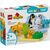Конструктор LEGO DUPLO Town Семейства диких животных: Пингвины и Львы (10442) Конструктор LEGO DUPLO Town Семейства диких животных: Пингвины и Львы (10442)