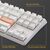 Клавіатура Ducky One 3 TKL Cherry MX Blue RGB UA USB White (DKON2187ST-CUAPXPWWWSC1), зображення 10 Клавіатура Ducky One 3 TKL Cherry MX Blue RGB UA USB White (DKON2187ST-CUAPXPWWWSC1), зображення 10