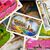 Настольная игра Lord of Boards Билет на поезд: Рельсы и паруса (Ticket to Ride: Rails & Sails) украинский (LOB2333UA), изображение 3 Настольная игра Lord of Boards Билет на поезд: Рельсы и паруса (Ticket to Ride: Rails & Sails) украинский (LOB2333UA), изображение 3