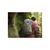 Рюкзак туристический Osprey Hikelite 32 pine leaf green S/M (009.3337), изображение 5 Рюкзак туристический Osprey Hikelite 32 pine leaf green S/M (009.3337), изображение 5