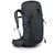 Рюкзак туристический Osprey Talon 33 eclipse grey L/XL (009.2302) Рюкзак туристический Osprey Talon 33 eclipse grey L/XL (009.2302)