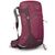 Рюкзак туристический Osprey Sirrus 26 elderberry purple/chiru tan O/S (009.3592) Рюкзак туристический Osprey Sirrus 26 elderberry purple/chiru tan O/S (009.3592)