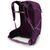 Рюкзак туристический Osprey Sportlite 25 aubergine purple S/M (009.3036), изображение 3