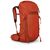 Рюкзак туристический Osprey Talon Pro 30 mars orange O/S (009.3533) Рюкзак туристический Osprey Talon Pro 30 mars orange O/S (009.3533)