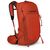 Рюкзак туристический Osprey Talon Pro 20 mars orange O/S (009.3535) Рюкзак туристический Osprey Talon Pro 20 mars orange O/S (009.3535)