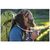 Рюкзак туристический Osprey Aether 55 deep water blue - L/XL - синій (009.2409), изображение 12 Рюкзак туристический Osprey Aether 55 deep water blue - L/XL - синій (009.2409), изображение 12
