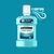 Ополаскиватель для полости рта Listerine Свежая мята 1000 мл (3574660520132), изображение 4 Ополаскиватель для полости рта Listerine Свежая мята 1000 мл (3574660520132), изображение 4
