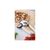 Овощечистка KitchenAid Coreline, горизонтальна 18,8 см, кремовий (KAG145OHACE), изображение 7 Овощечистка KitchenAid Coreline, горизонтальна 18,8 см, кремовий (KAG145OHACE), изображение 7