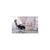 Офисное кресло GT Racer X-801L Black (X-801L Black (W-51)), изображение 7 Офисное кресло GT Racer X-801L Black (X-801L Black (W-51)), изображение 7