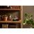 Конструктор LEGO Botanicals Сукуленти (10309-), зображення 11 Конструктор LEGO Botanicals Сукуленти (10309-), зображення 11