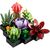 Конструктор LEGO Botanicals Сукуленти (10309-), зображення 2 Конструктор LEGO Botanicals Сукуленти (10309-), зображення 2