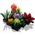 Конструктор LEGO Botanicals Сукуленти (10309-), зображення 3 Конструктор LEGO Botanicals Сукуленти (10309-), зображення 3