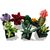 Конструктор LEGO Botanicals Сукуленти (10309-), зображення 5 Конструктор LEGO Botanicals Сукуленти (10309-), зображення 5