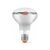 Лампочка Videx Filament R80FF 09W E27 1200K (VL-R80FF-09271) Лампочка Videx Filament R80FF 09W E27 1200K (VL-R80FF-09271)