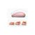 Мишка Ugreen MU105 Wireless Pink (90686), зображення 4 Мишка Ugreen MU105 Wireless Pink (90686), зображення 4
