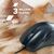 Мышка Canyon M-6 USB Black (CNE-CMS6), изображение 6 Мышка Canyon M-6 USB Black (CNE-CMS6), изображение 6