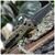 Нож Benchmade Sibert Auto Adamas (2750GY-3), изображение 8 Нож Benchmade Sibert Auto Adamas (2750GY-3), изображение 8