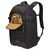 Фото-сумка Case Logic VISO Medium Camera Backpack CVBP-105 Black 25х16х3.8cm (3204534), изображение 4 Фото-сумка Case Logic VISO Medium Camera Backpack CVBP-105 Black 25х16х3.8cm (3204534), изображение 4