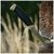Нож Morakniv Companion S Desert Sandvik 12C27 (13166), изображение 7 Нож Morakniv Companion S Desert Sandvik 12C27 (13166), изображение 7