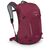 Рюкзак туристический Osprey Hikelite 26 chameleon/black - O/S - бордовий (009.4010) Рюкзак туристический Osprey Hikelite 26 chameleon/black - O/S - бордовий (009.4010)