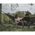 Гамак Easy Camp Pine Hammock (480089) (931585), изображение 3 Гамак Easy Camp Pine Hammock (480089) (931585), изображение 3
