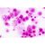 Набор микропрепаратов Bresser Histology 30 шт (5985000) (931505), изображение 2 Набор микропрепаратов Bresser Histology 30 шт (5985000) (931505), изображение 2