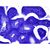 Набор микропрепаратов Bresser Histology 30 шт (5985000) (931505), изображение 8 Набор микропрепаратов Bresser Histology 30 шт (5985000) (931505), изображение 8