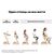 Стульчик для кормления Stokke Tripp Trapp, Natural (натуральный) (100101), изображение 7 Стульчик для кормления Stokke Tripp Trapp, Natural (натуральный) (100101), изображение 7
